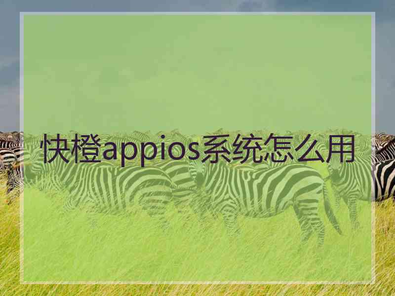 快橙appios系统怎么用