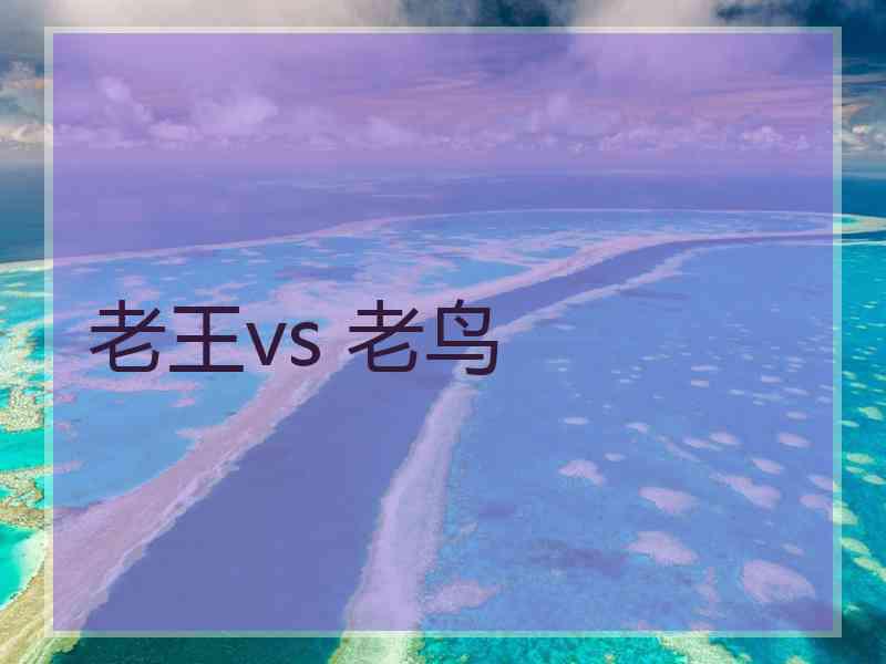 老王vs 老鸟