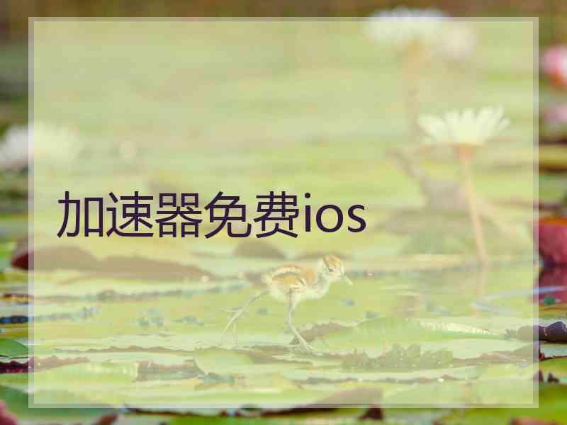 加速器免费ios