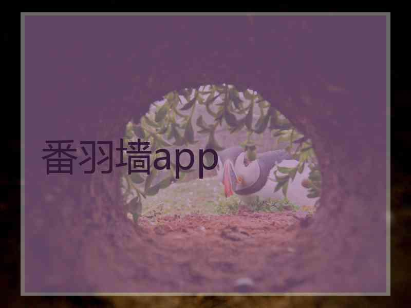 番羽墙app