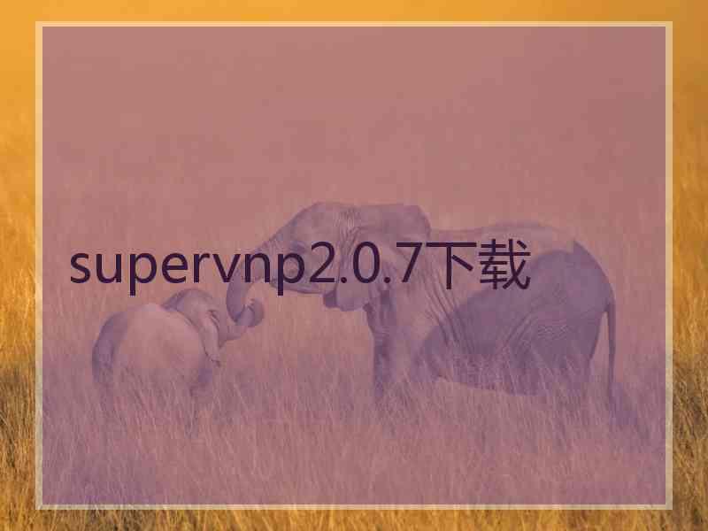 supervnp2.0.7下载