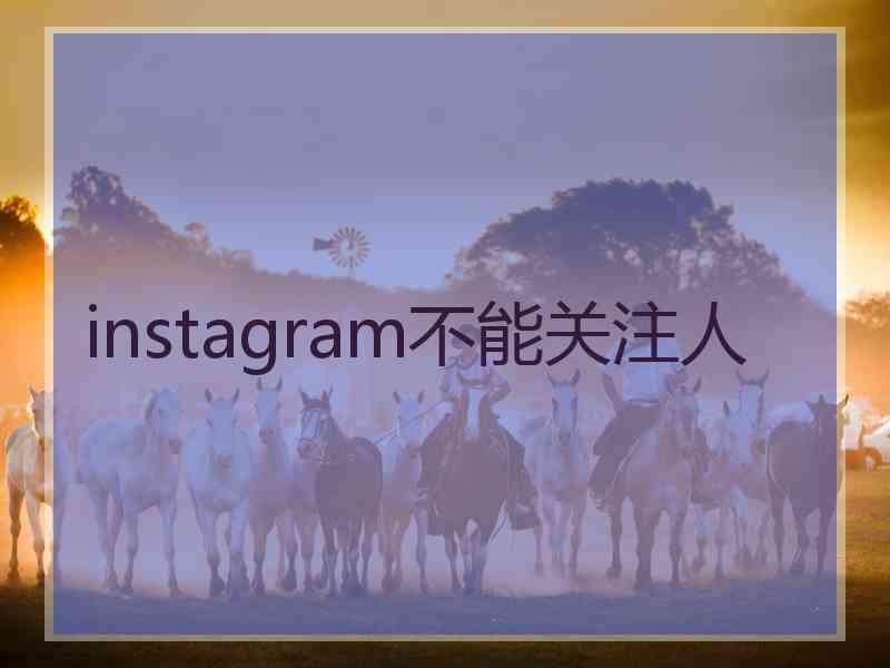 instagram不能关注人