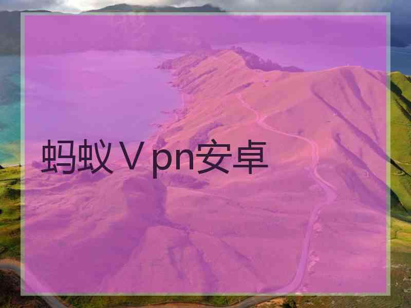 蚂蚁Ⅴpn安卓