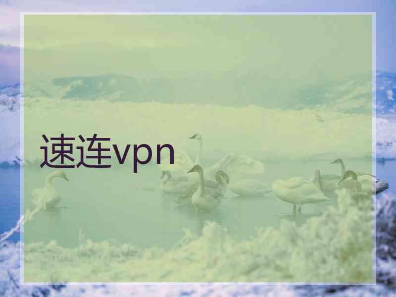 速连vpn