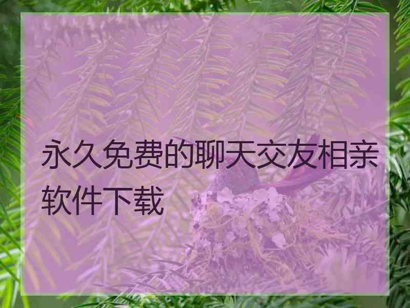 永久免费的聊天交友相亲软件下载