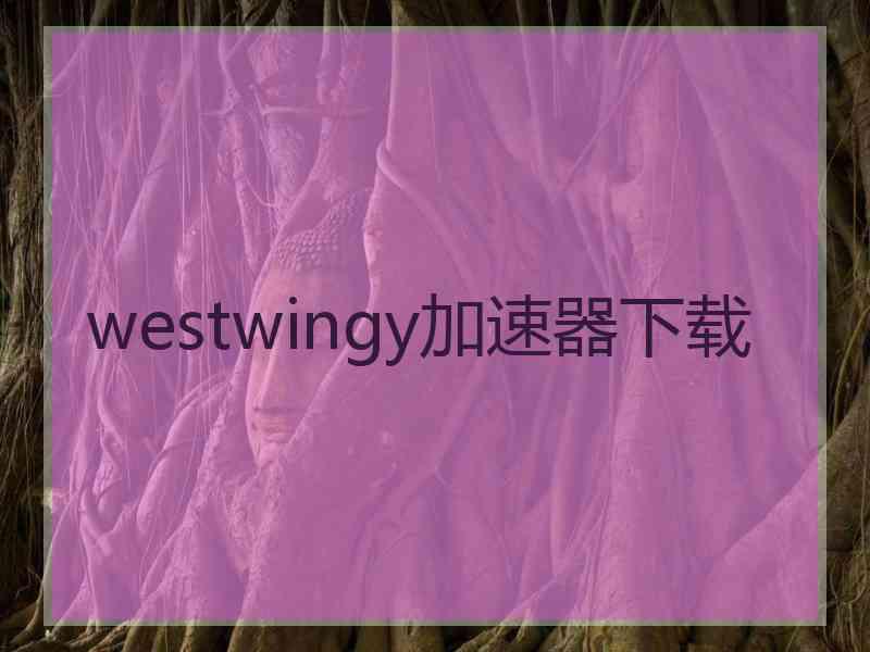 westwingy加速器下载