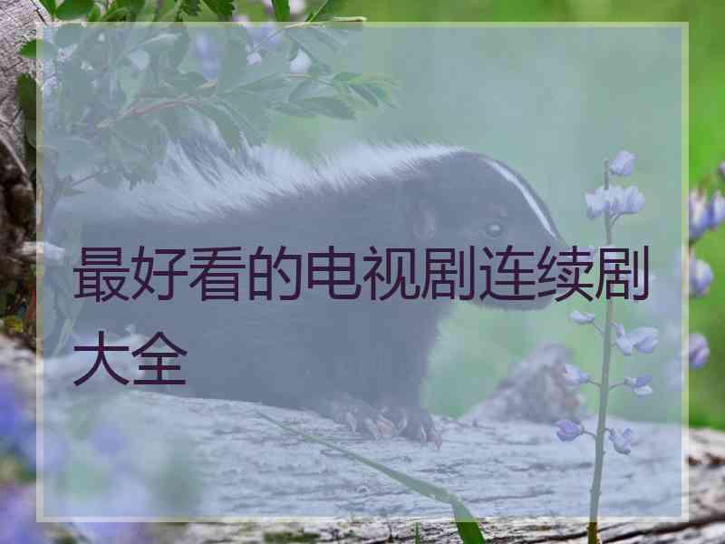最好看的电视剧连续剧大全