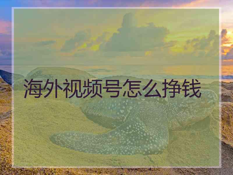 海外视频号怎么挣钱