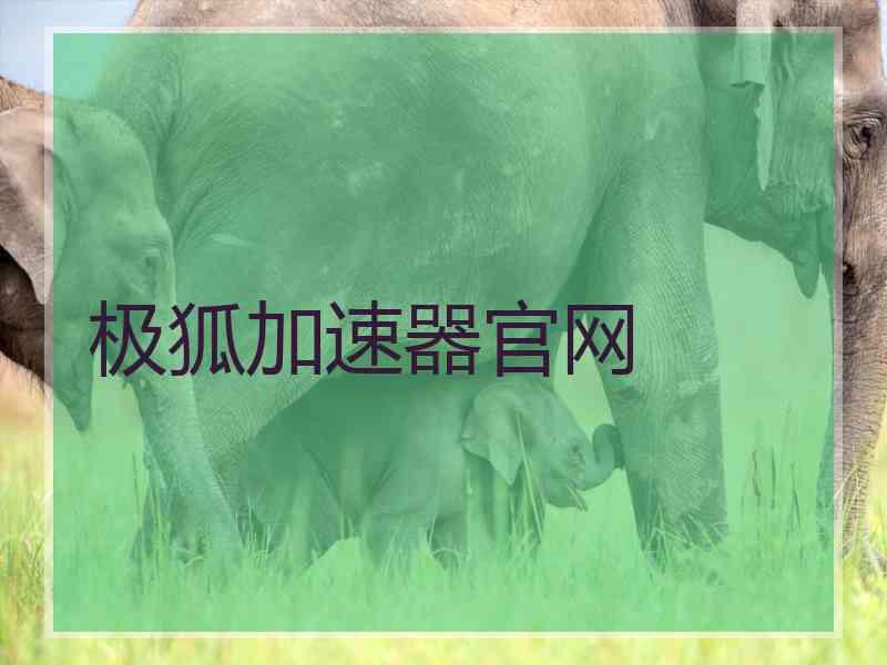 极狐加速器官网