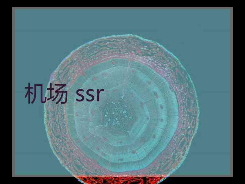 机场 ssr