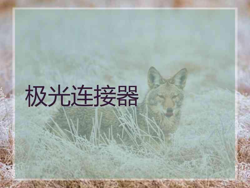 极光连接器