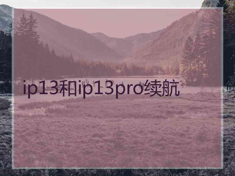 ip13和ip13pro续航