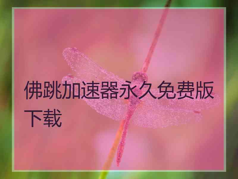 佛跳加速器永久免费版下载