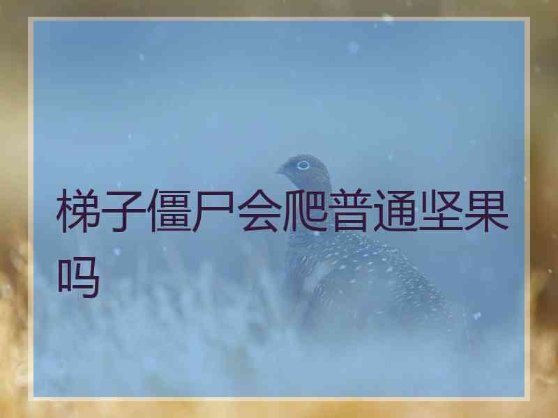梯子僵尸会爬普通坚果吗