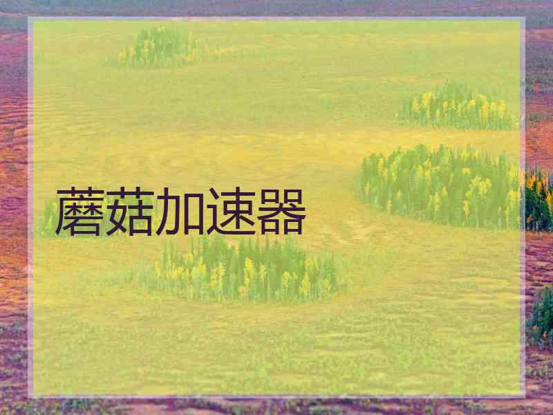 蘑菇加速器