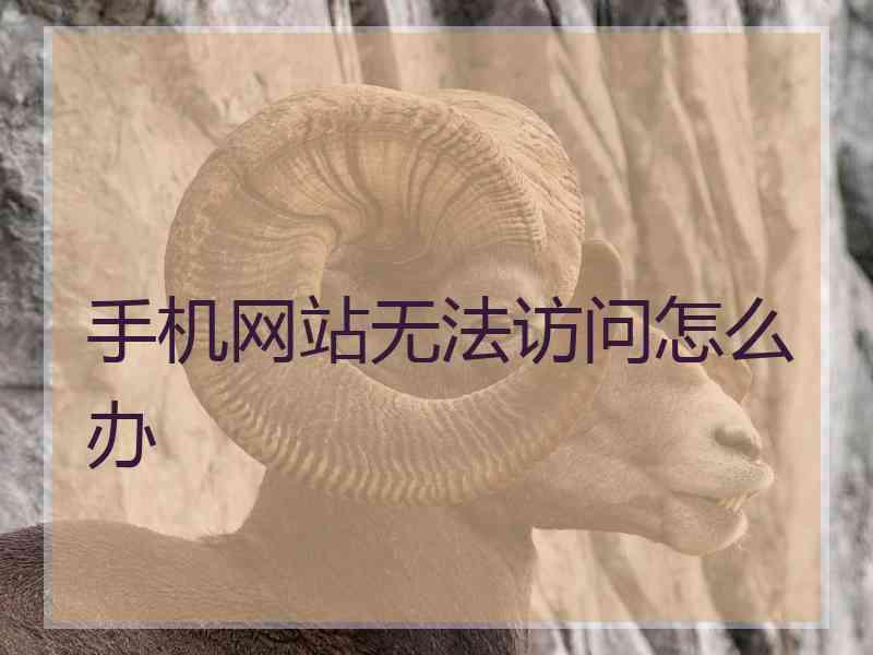 手机网站无法访问怎么办