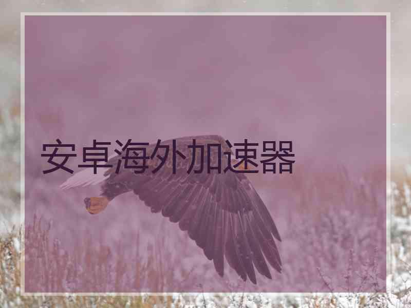 安卓海外加速器