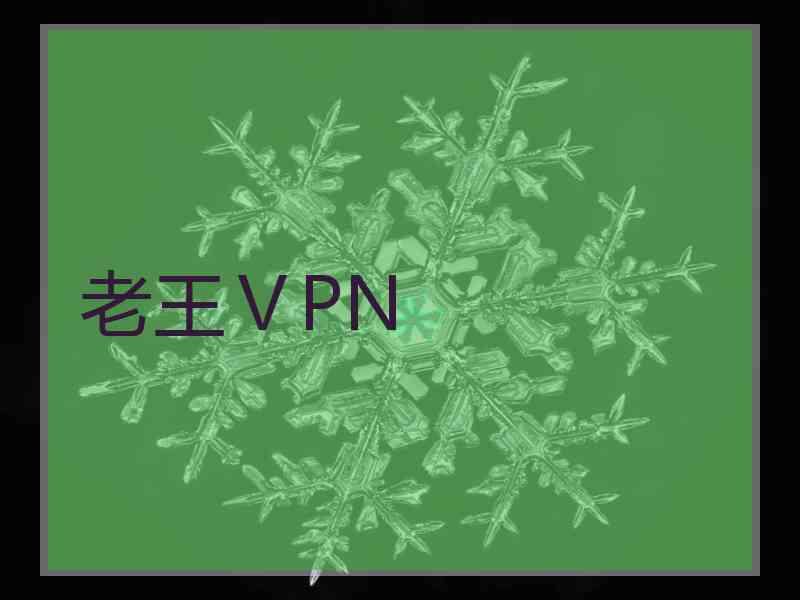老王ⅤPN