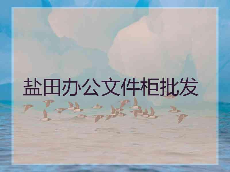 盐田办公文件柜批发