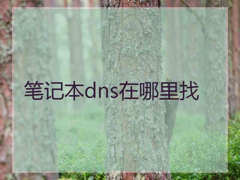 笔记本dns在哪里找