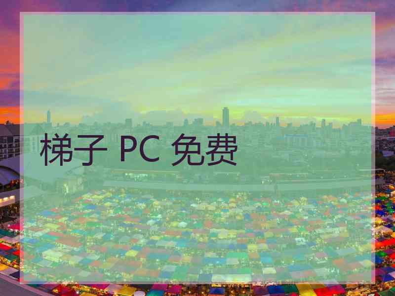 梯子 PC 免费