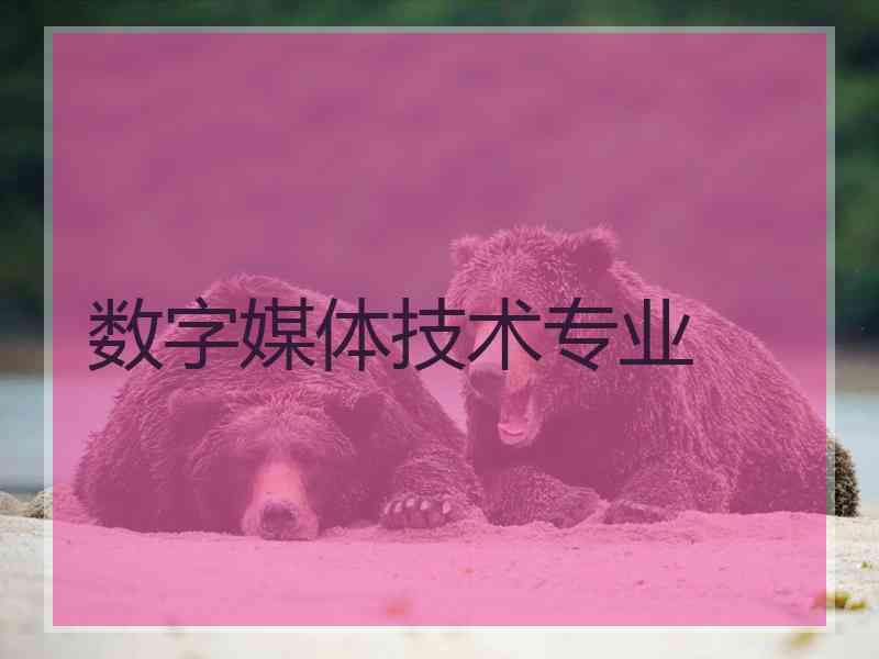 数字媒体技术专业