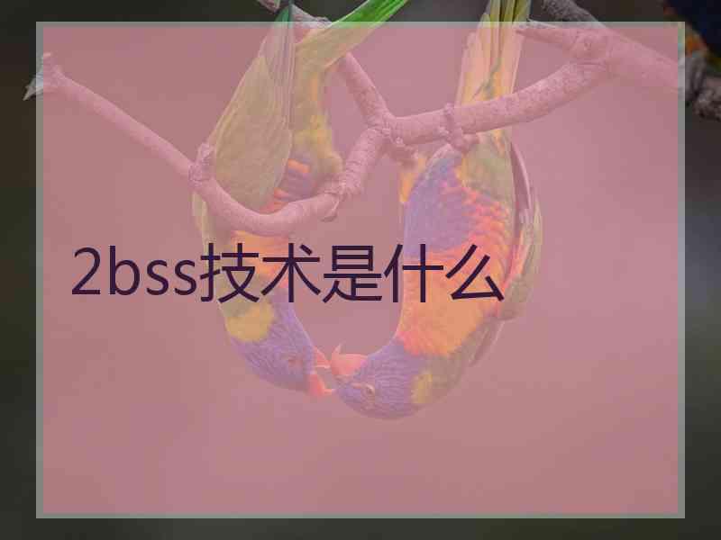 2bss技术是什么