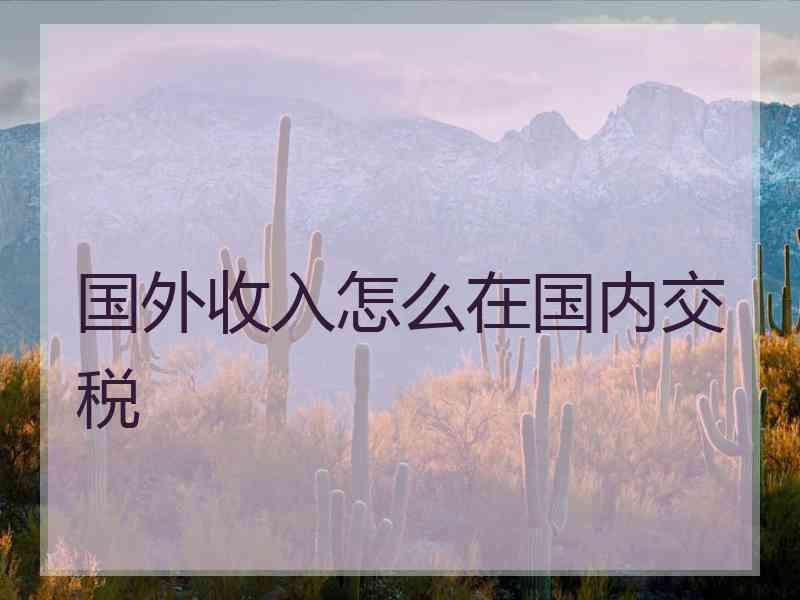 国外收入怎么在国内交税