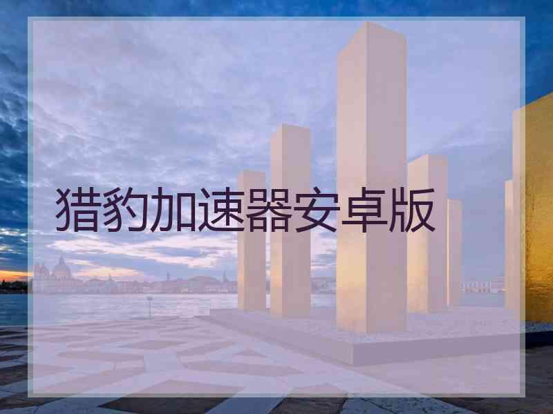 猎豹加速器安卓版