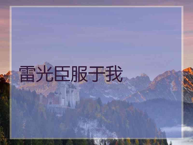 雷光臣服于我