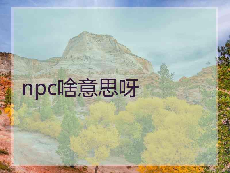 npc啥意思呀