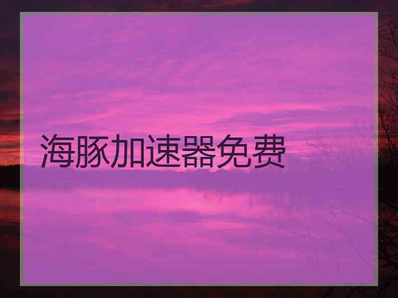 海豚加速器免费