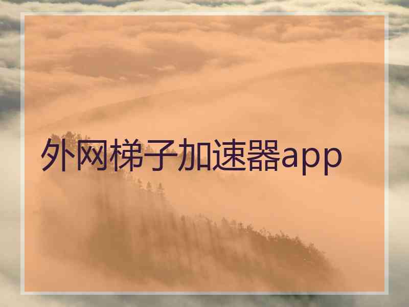 外网梯子加速器app