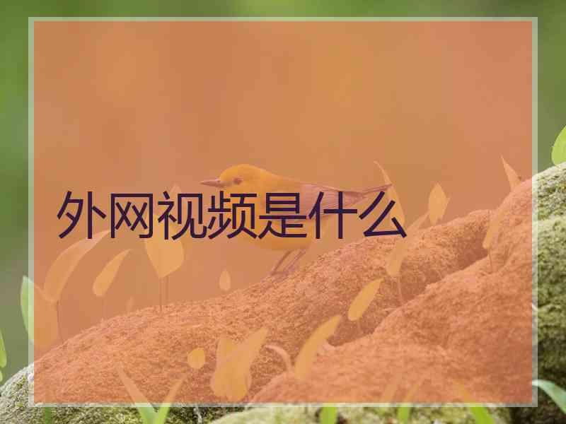 外网视频是什么