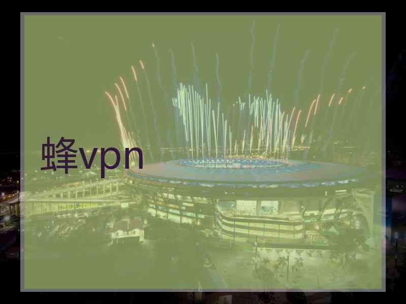 蜂vpn