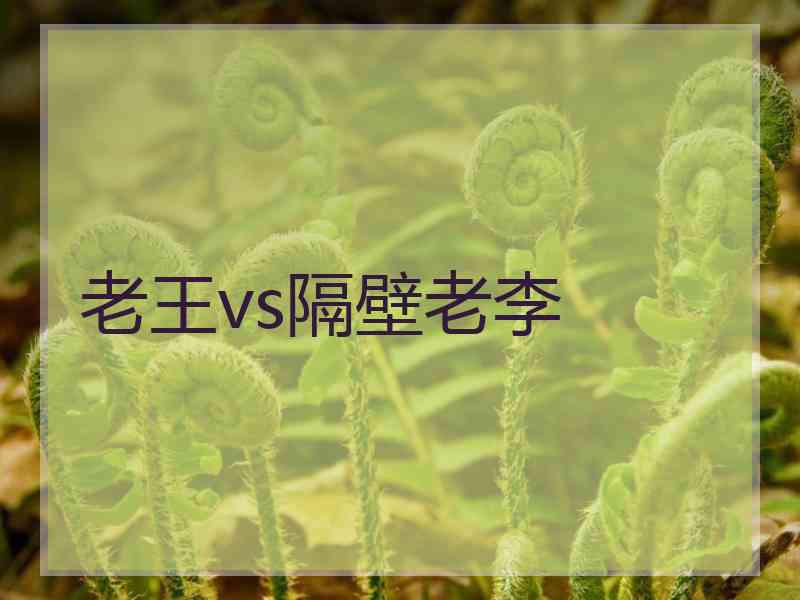 老王vs隔壁老李
