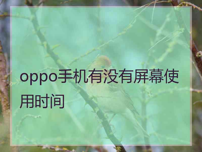 oppo手机有没有屏幕使用时间