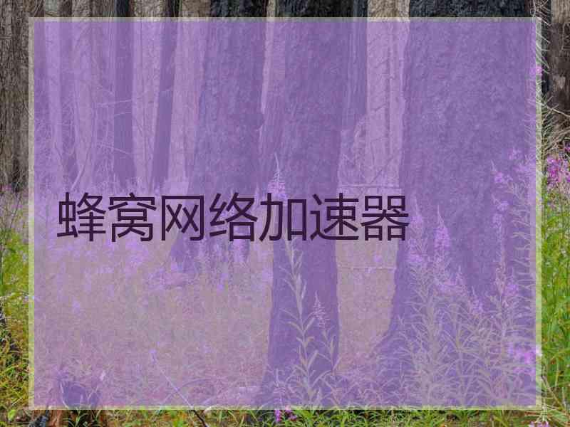 蜂窝网络加速器