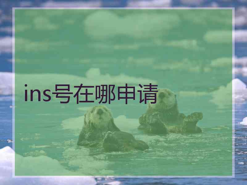 ins号在哪申请