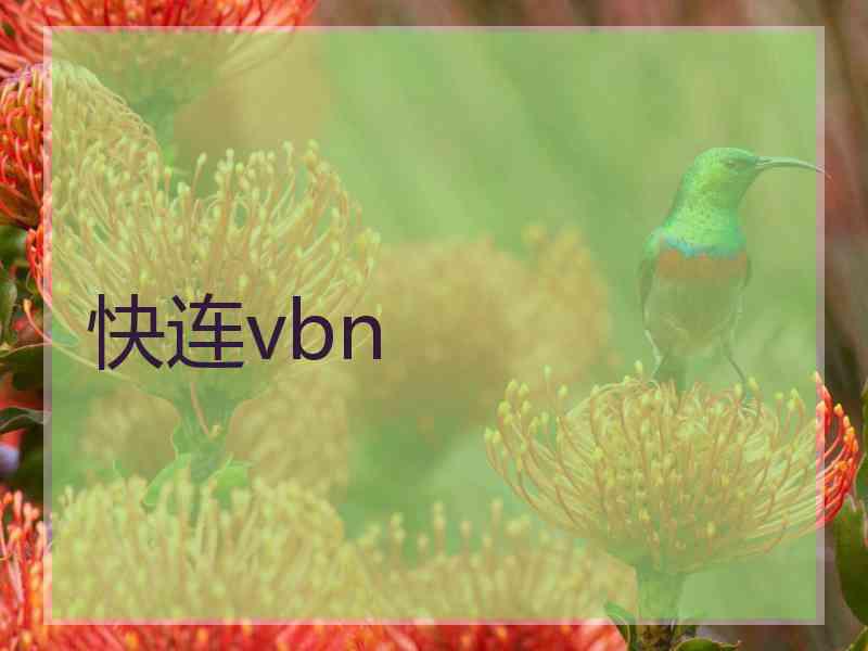 快连vbn