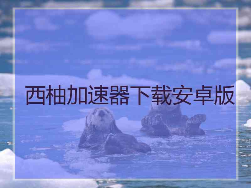 西柚加速器下载安卓版