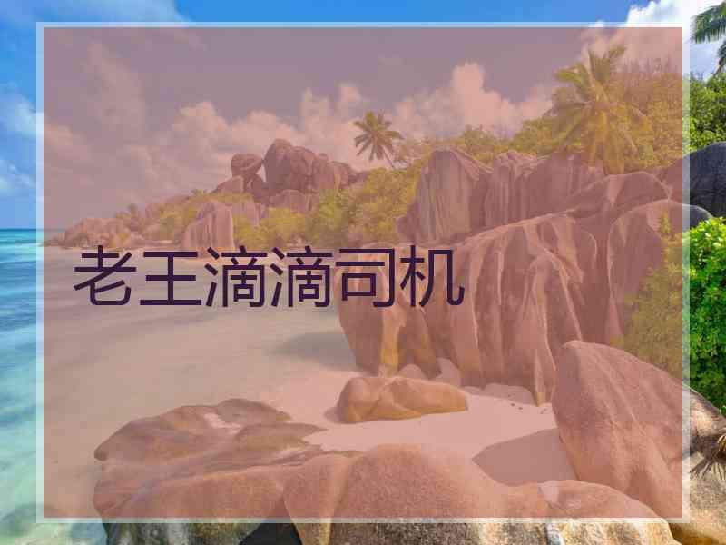 老王滴滴司机