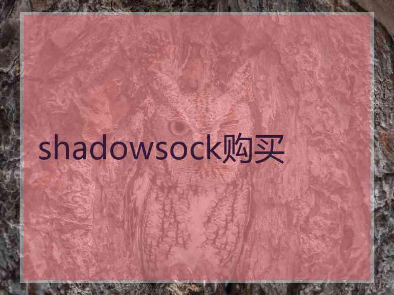 shadowsock购买