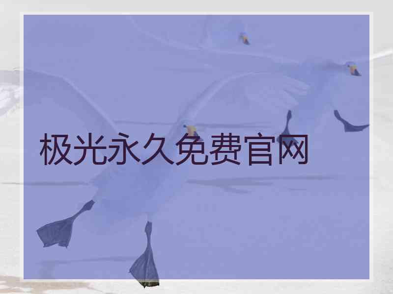 极光永久免费官网