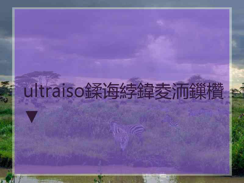 ultraiso鍒诲綍鍏夌洏鏁欑▼