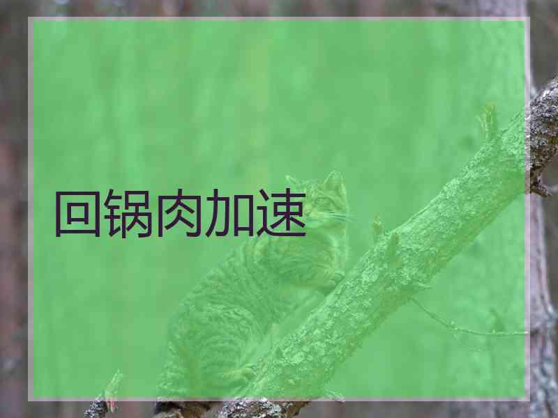 回锅肉加速