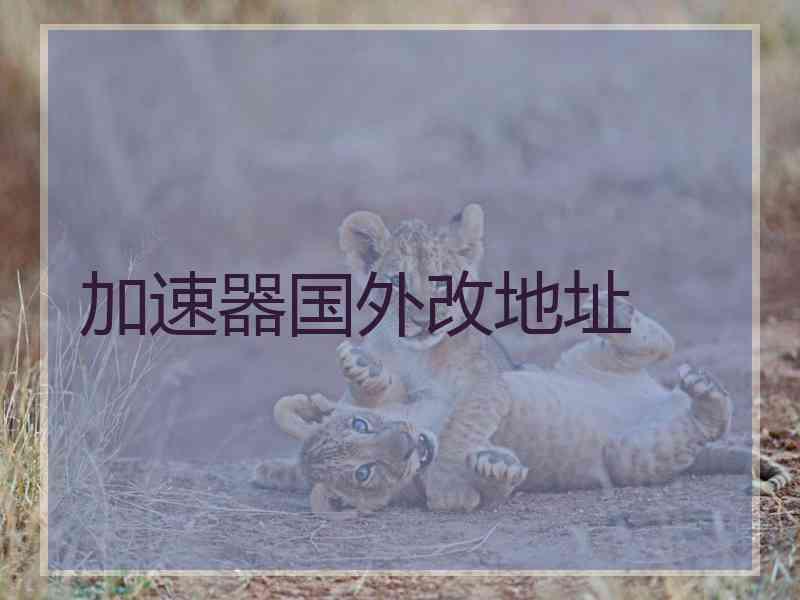 加速器国外改地址