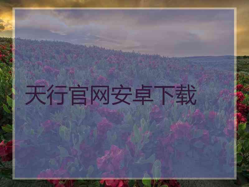天行官网安卓下载