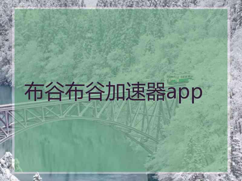 布谷布谷加速器app