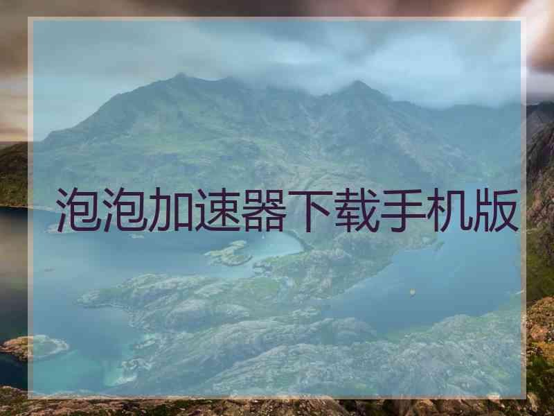 泡泡加速器下载手机版